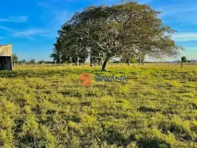 Sítio com 0 quartos em Chicolomã