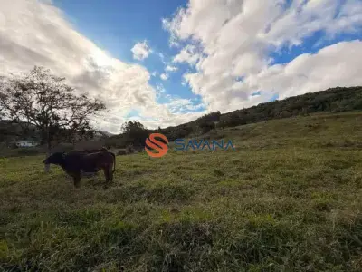 Sítio com 0 quartos em Arroio da Madeira