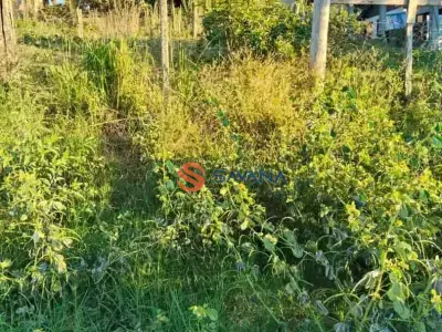 Lote / Terreno com 0 quartos em Lomba da Páscoa