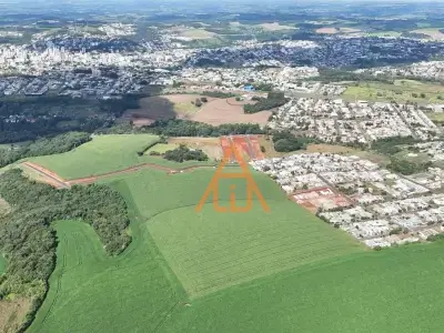 Lote / Terreno em Pagnoncelli