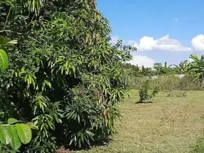 Lote / Terreno em Chácara Alvorada