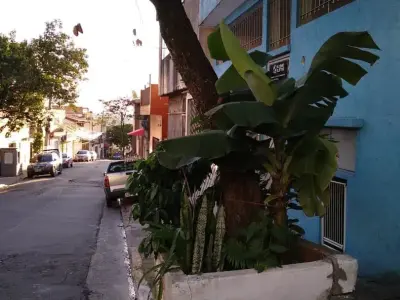 Casa com 0 quartos em Americanópolis