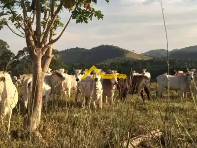 Fazenda com 0 quartos em Área Rural de Caratinga, Caratinga - 580m²