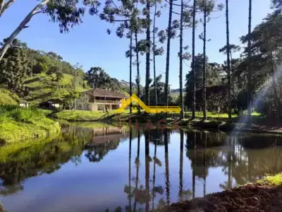 Fazenda com 0 quartos em Centro, Liberdade - 310m²