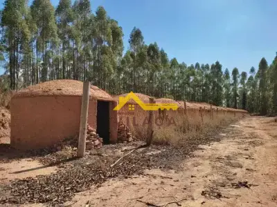 Fazenda com 0 quartos em Área Rural, Ritápolis - 183m²