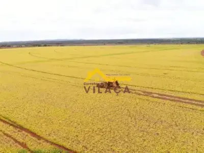 Fazenda com 0 quartos em Área Rural de Paracatu, Paracatu - 1448m²