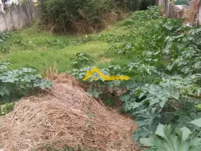 Lote / Terreno com 0 quartos em Guarda-Mor, São João Del Rei - 462m²