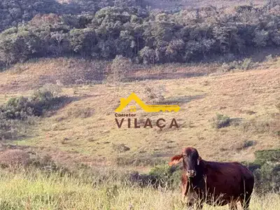 Lote / Terreno com 0 quartos em Zona Rural, Tiradentes - 34m²