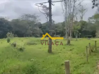 Lote / Terreno com 0 quartos em BICHINHO, Prados - 3900m²