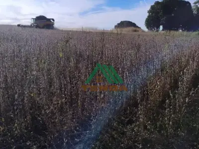 Fazenda com 0 quartos em Setor Central