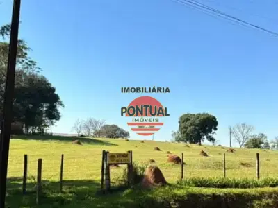 Chácara com 0 quartos em Sentido Arapoti, Jaguariaíva - 66000m²