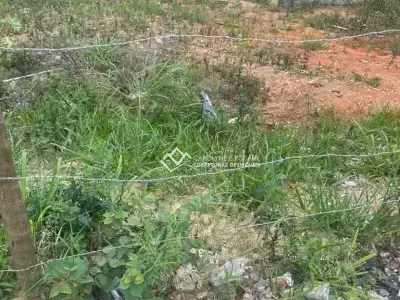 Lote / Terreno com 0 quartos em Santo Agostinho, Conselheiro Lafaiete - 250m²