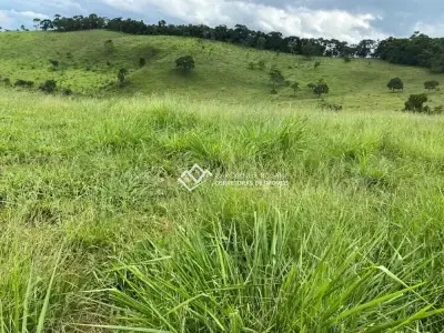 Chácara com 0 quartos em Área Rural de Conselheiro Lafaiete, Conselheiro Lafaiete - 1200m²