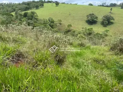 Lote / Terreno com 0 quartos em São Lucas, Conselheiro Lafaiete - 430m²