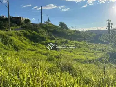 Lote / Terreno com 0 quartos em Belvedere, Conselheiro Lafaiete - 319m²