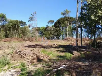 Lote / Terreno com 0 quartos em Centro, Mallet - 14000m²