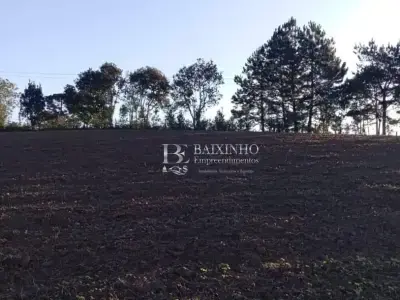 Lote / Terreno com 0 quartos em Área Rural, Mallet - 4185m²
