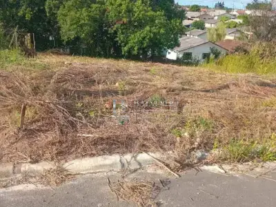 Lote / Terreno com 0 quartos em Residencial Terra Nova, Mallet - 206m²