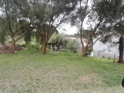 Lote / Terreno com 0 quartos em Vila Lopacinski, Mallet - 0m²