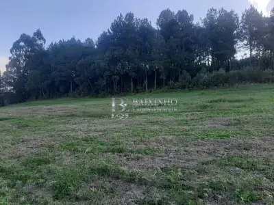 Lote / Terreno com 0 quartos em Lageadinho, Mallet - 0m²