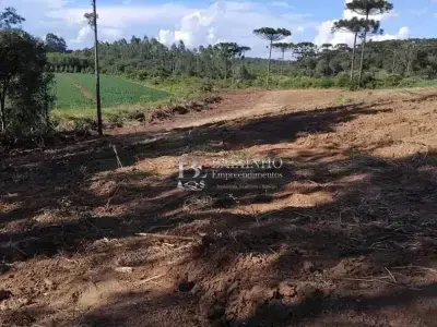 Imóveis em Rio Claro do Sul