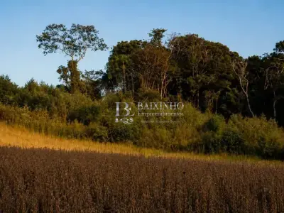 Lote / Terreno com 0 quartos em área rural Colônia Dulcio, Mallet - 68808m²