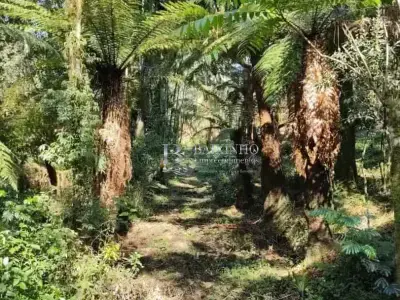 Lote / Terreno com 0 quartos em Área Rural, Mallet - 44m²