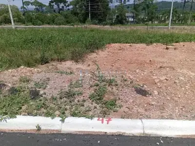 Lote / Terreno com 0 quartos em Jardim Emília, Mallet - 200m²