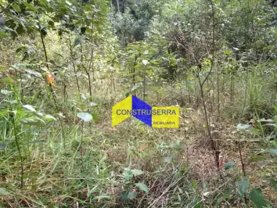 Lote / Terreno com 0 quartos em Jardim Samambaia