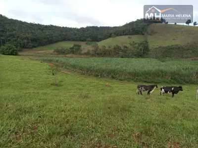 Lote / Terreno em Cabangu
