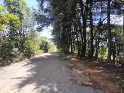 Imóveis em Bandeirinhas