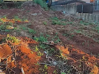  com 0 quartos em Di Fiori