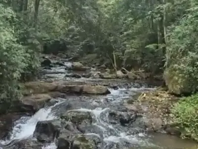 Sítio com 0 quartos em Interior