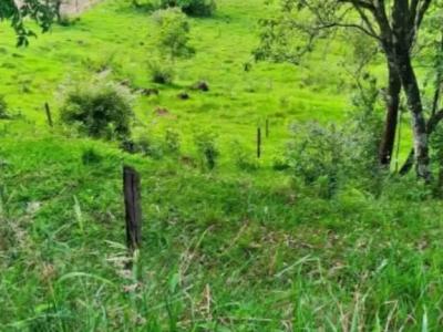Sítio com 0 quartos em Interior