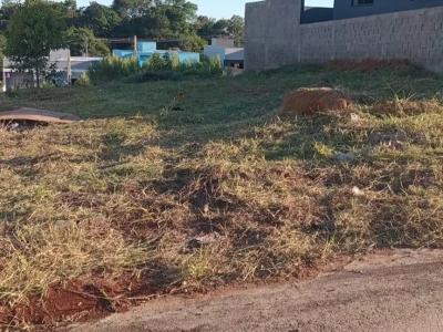  com 0 quartos em Bairro Araras