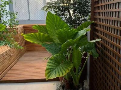 Apartamento com 1 quartos em Jardim Itália