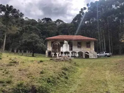 Imóveis em Dos Melos