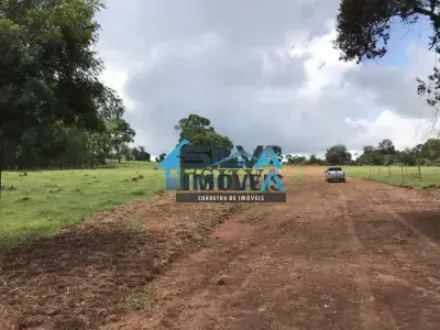 Chácara com 0 quartos em Área Rural, Carmópolis de Minas - 2000m²