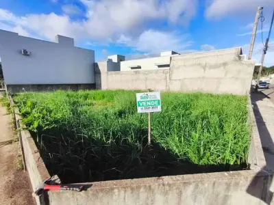 Lote / Terreno com 0 quartos em Vila São João, Itararé - 0m²