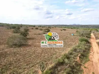 Fazenda com 0 quartos em Jeremoabo