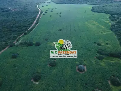 Imóveis em Jeremoabo