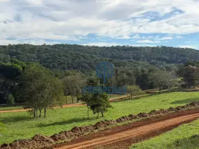 Imóveis em Sobradinho