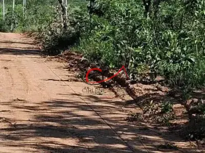 Chácara com 0 quartos em Zona Rural