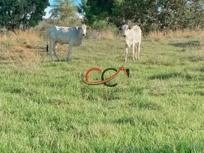 Fazenda com 0 quartos em Zona Rural
