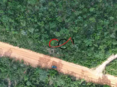 Fazenda com 0 quartos em Zona Rural