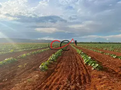 Fazenda com 0 quartos em Zona Rural