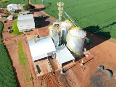 Fazenda com 0 quartos em Martins