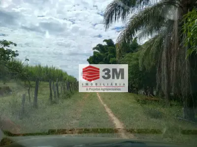 Fazenda com 0 quartos em Zona Rural, São Gonçalo do Abaeté - 240m²