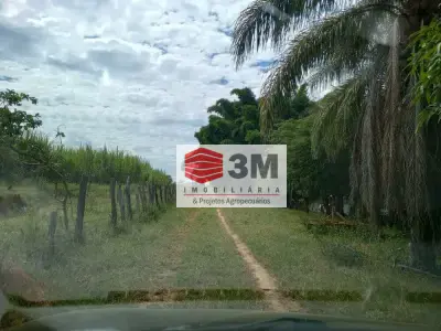 Fazenda com 0 quartos em Zona Rural, São Gonçalo do Abaeté - 240m²