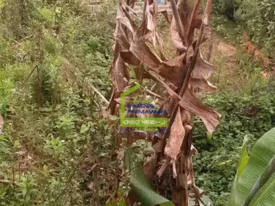 Lote / Terreno em Eldorado